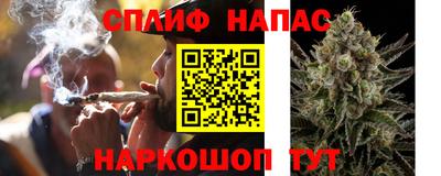 Альфа ПВП Нальчик