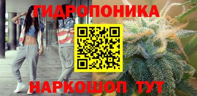 Альфа ПВП Нальчик