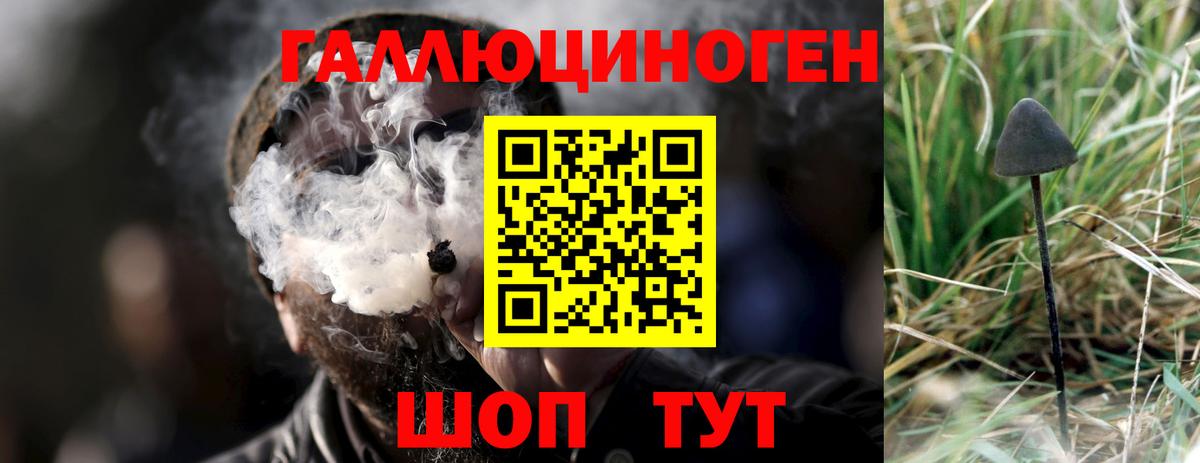 как найти   Псилоцибиновые грибы Magic Shrooms  Вход с VPN  Соликамск 